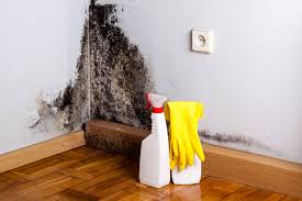 Mold Odor Removal Services in Chualar, CA